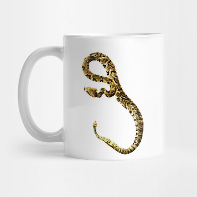 serpent,cobra,reptile,viper,venom,lizard,rattlesnake,king cobra,dragon,hydra,poison,venomous,plumber's snake,pythonidae,pythons,auger,python,squamata,serpentine,worm,big,ophidian,rattlesnakes,medusa,snakebite by vabontchi